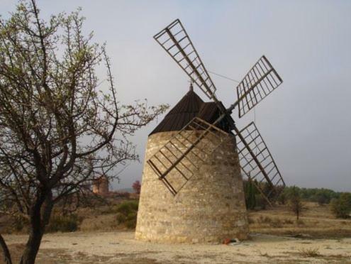 La Marsanne Bed and Breakfast Nissan-lez-Enserune Εξωτερικό φωτογραφία